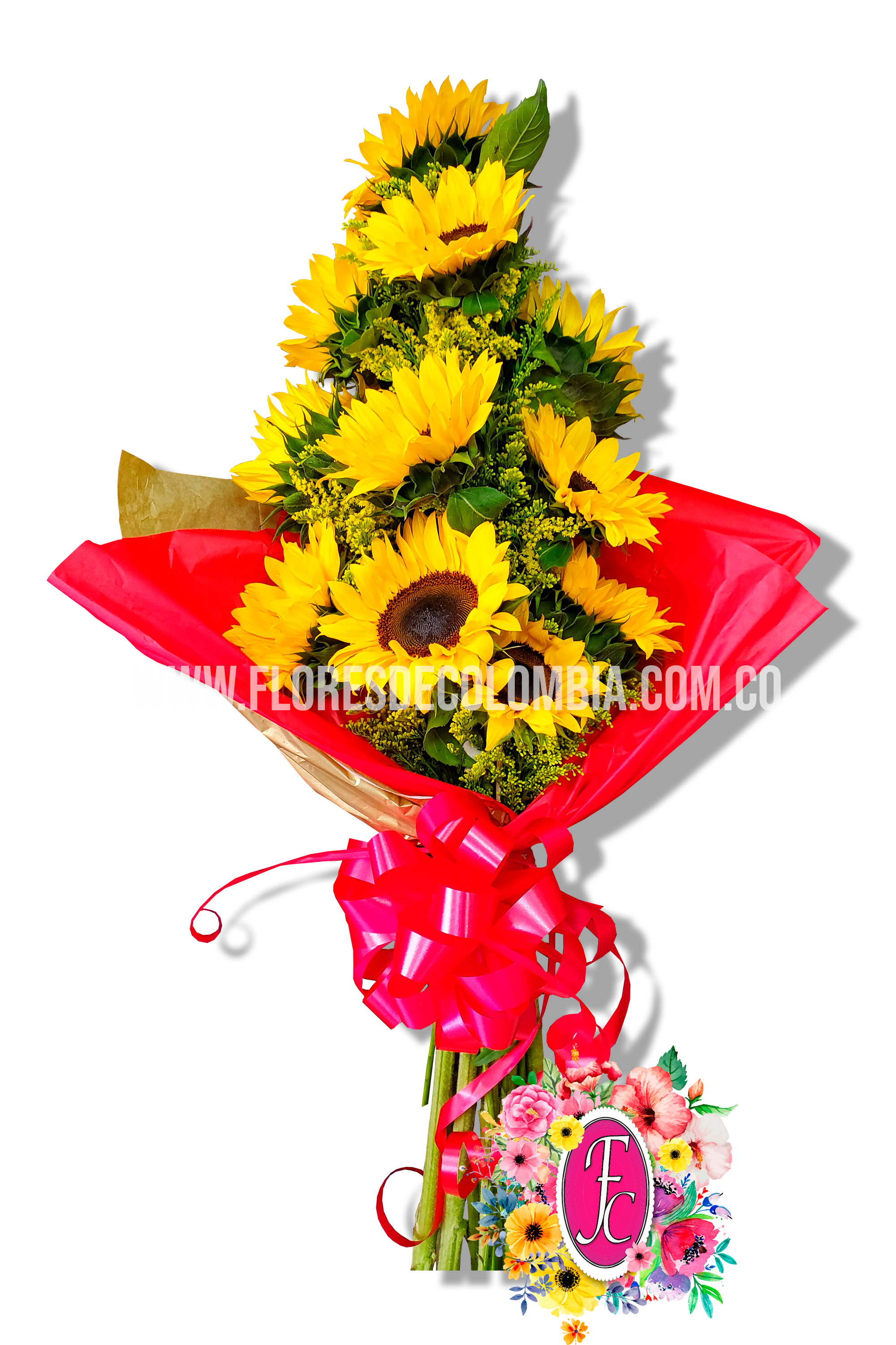 Ramillete de 12 girasoles - Flores de Colombia