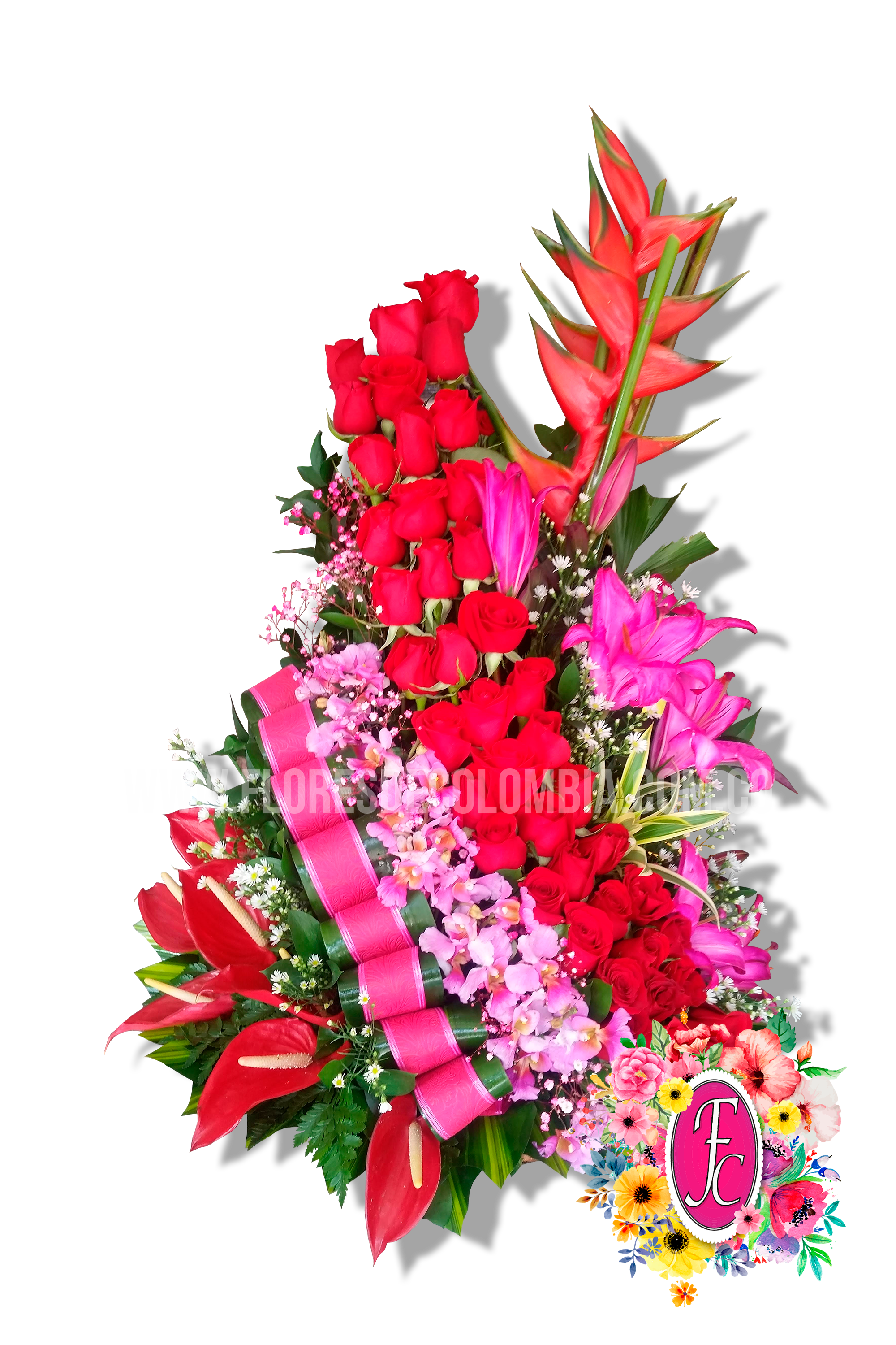 rioblanco rosas lirios y orquideas - Flores de Colombia
