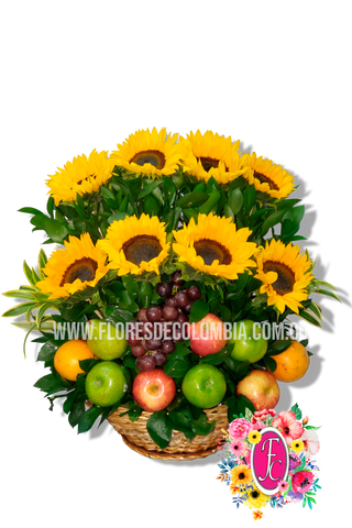 "Florencia" 8 girasoles - Flores de Colombia