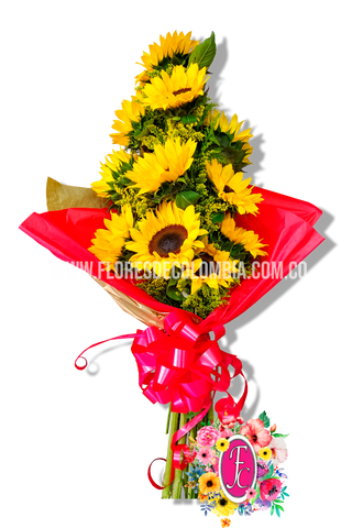 Ramillete de 12 girasoles - Flores de Colombia