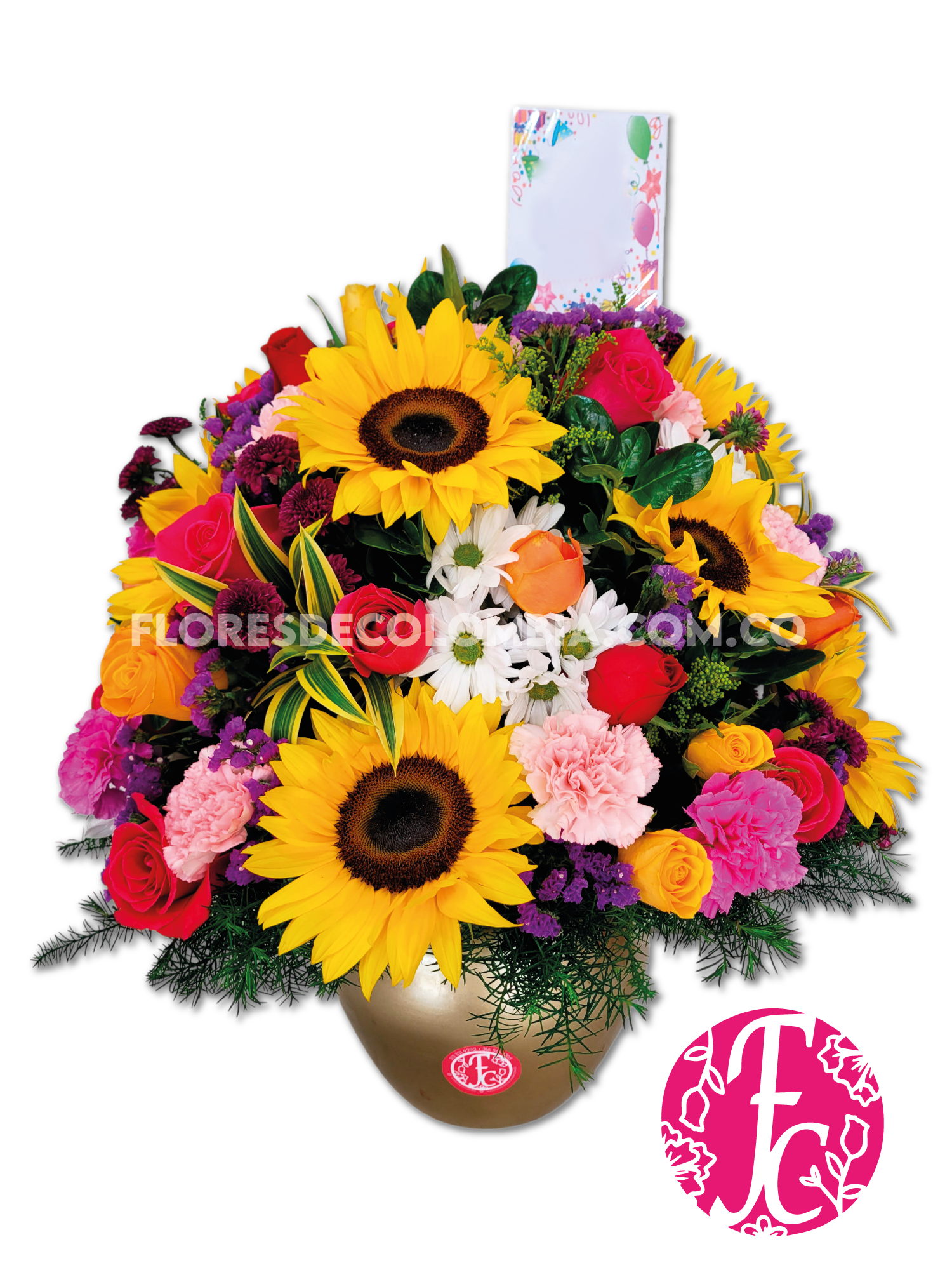 Luz de Primavera - Flores de Colombia