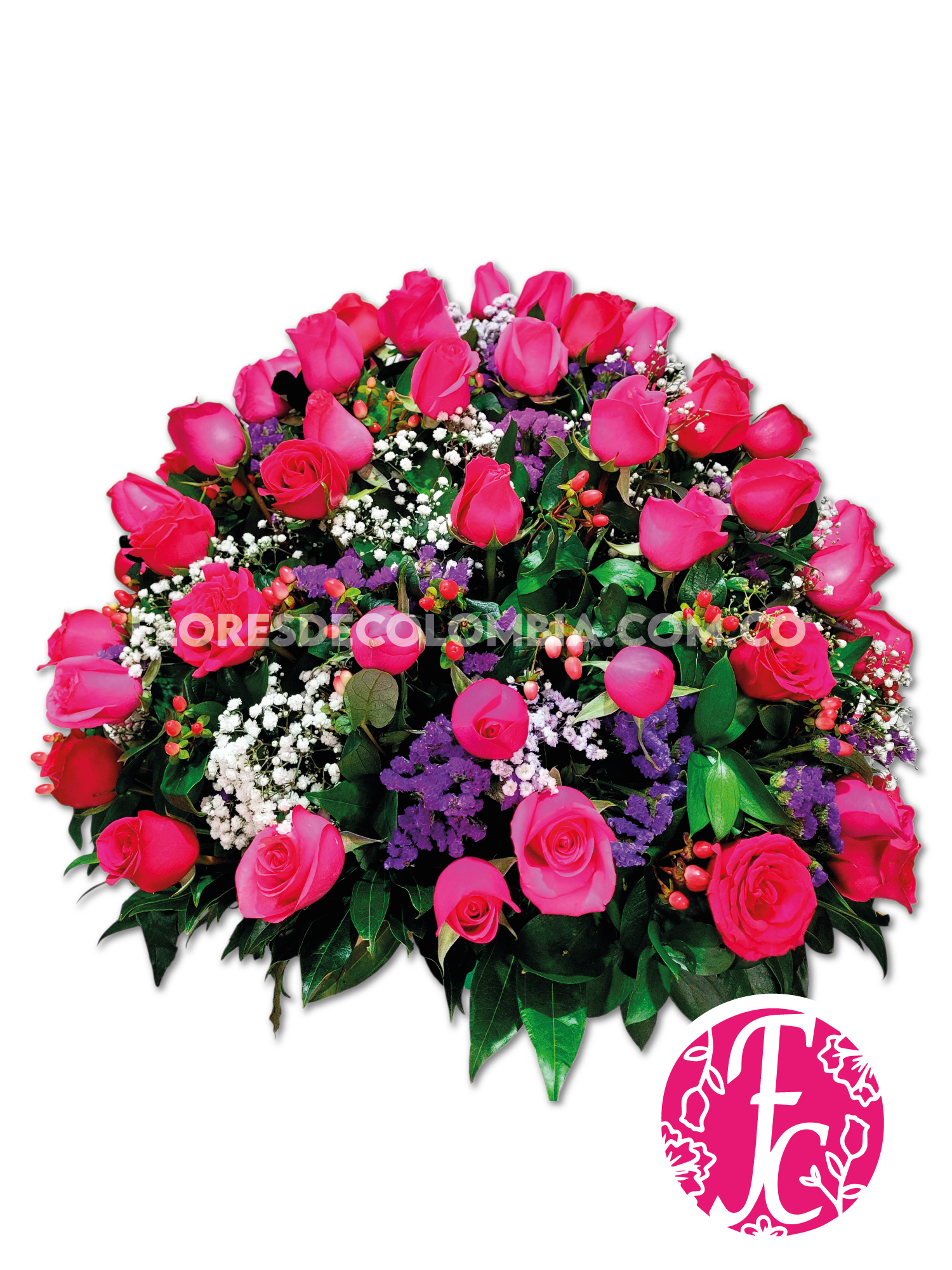 Magenta Salvaje - Flores de Colombia