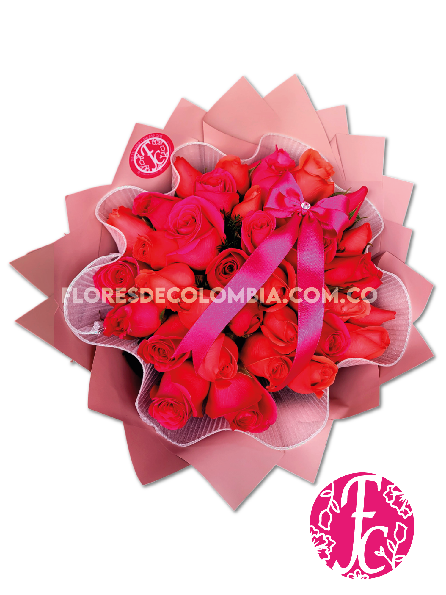 Fiesta de Color - Flores de Colombia