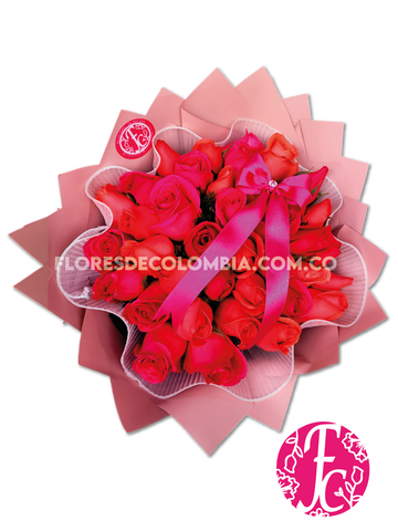 Fiesta de Color