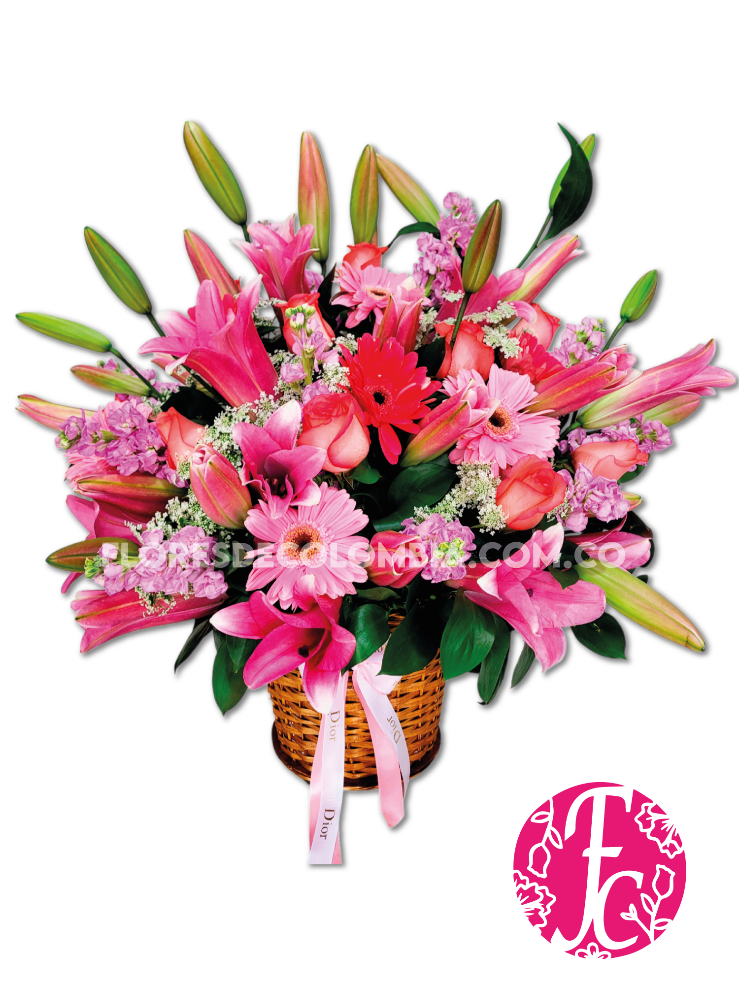 Cumpleaños radiante - Flores de Colombia