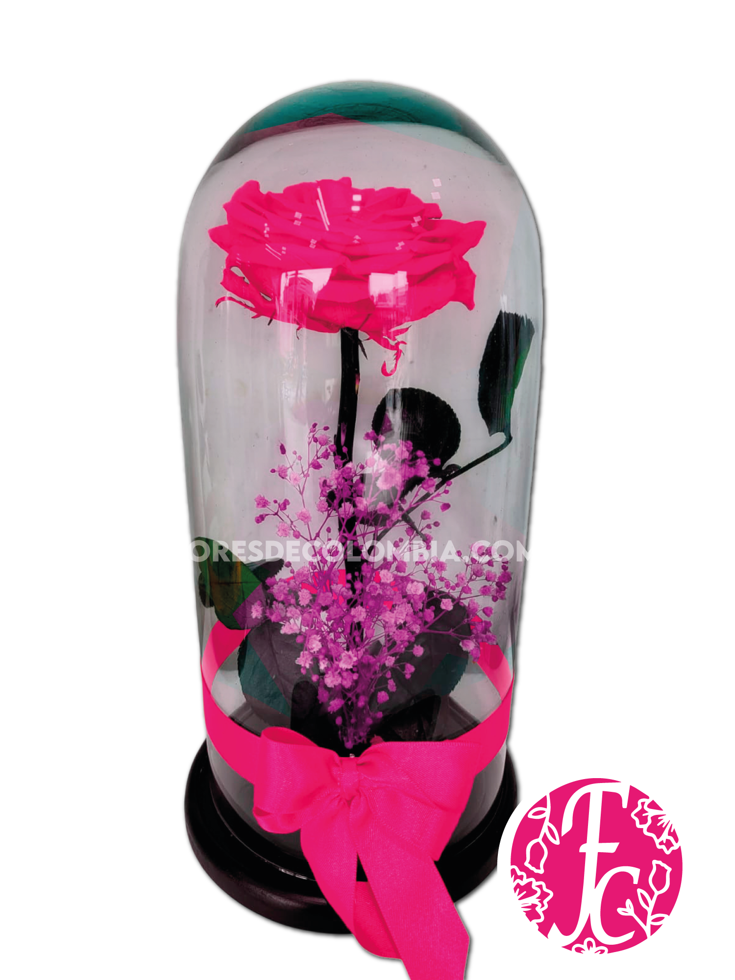 Rosa preservada Fucsia - Flores de Colombia