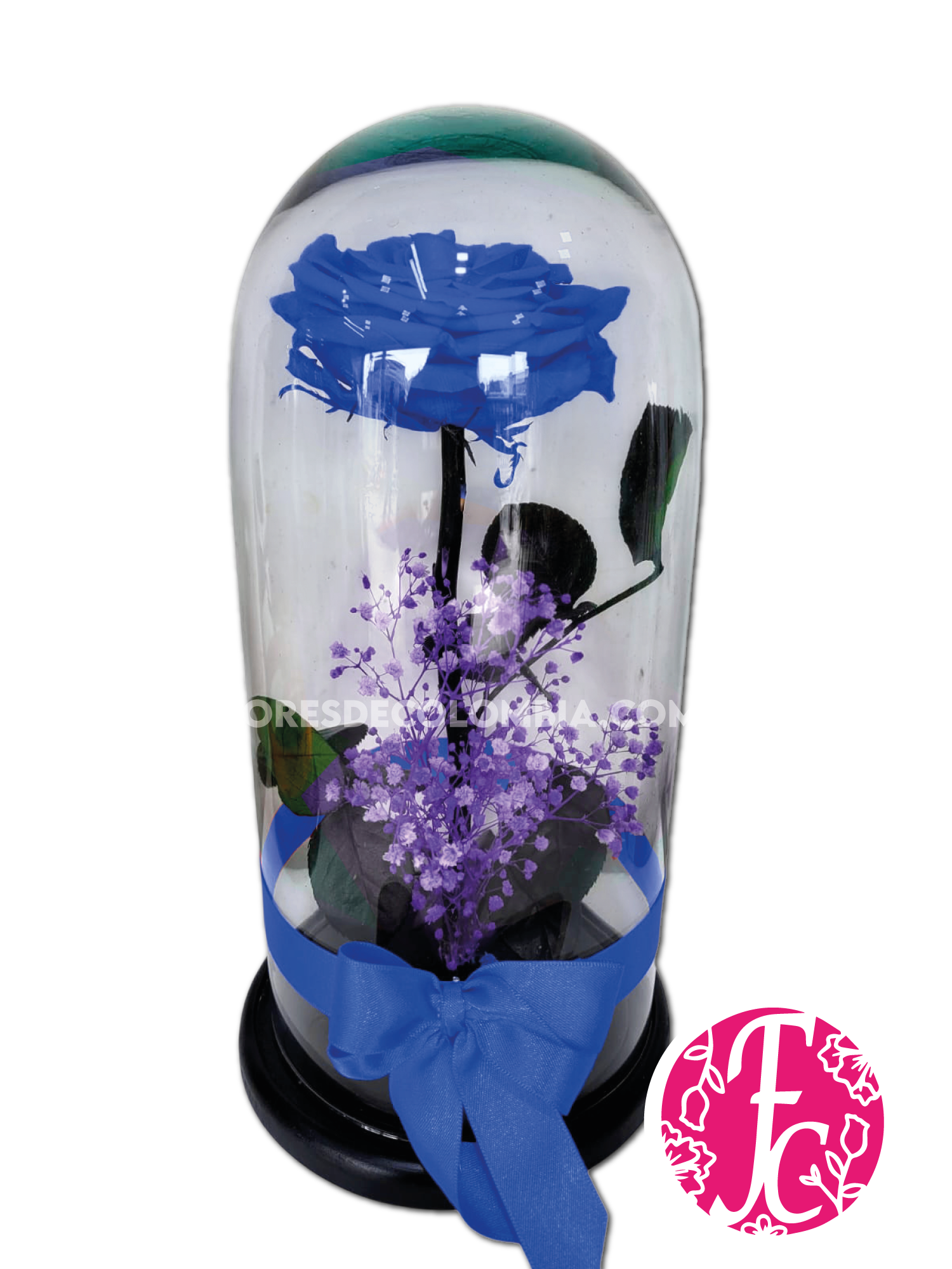 Rosa preservada Azul