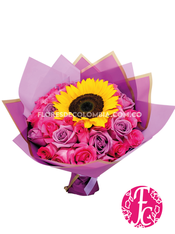 Girasol Imperial