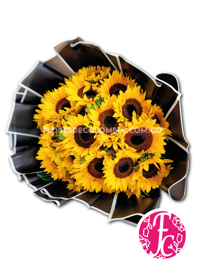 Dulce Primavera - Flores de Colombia