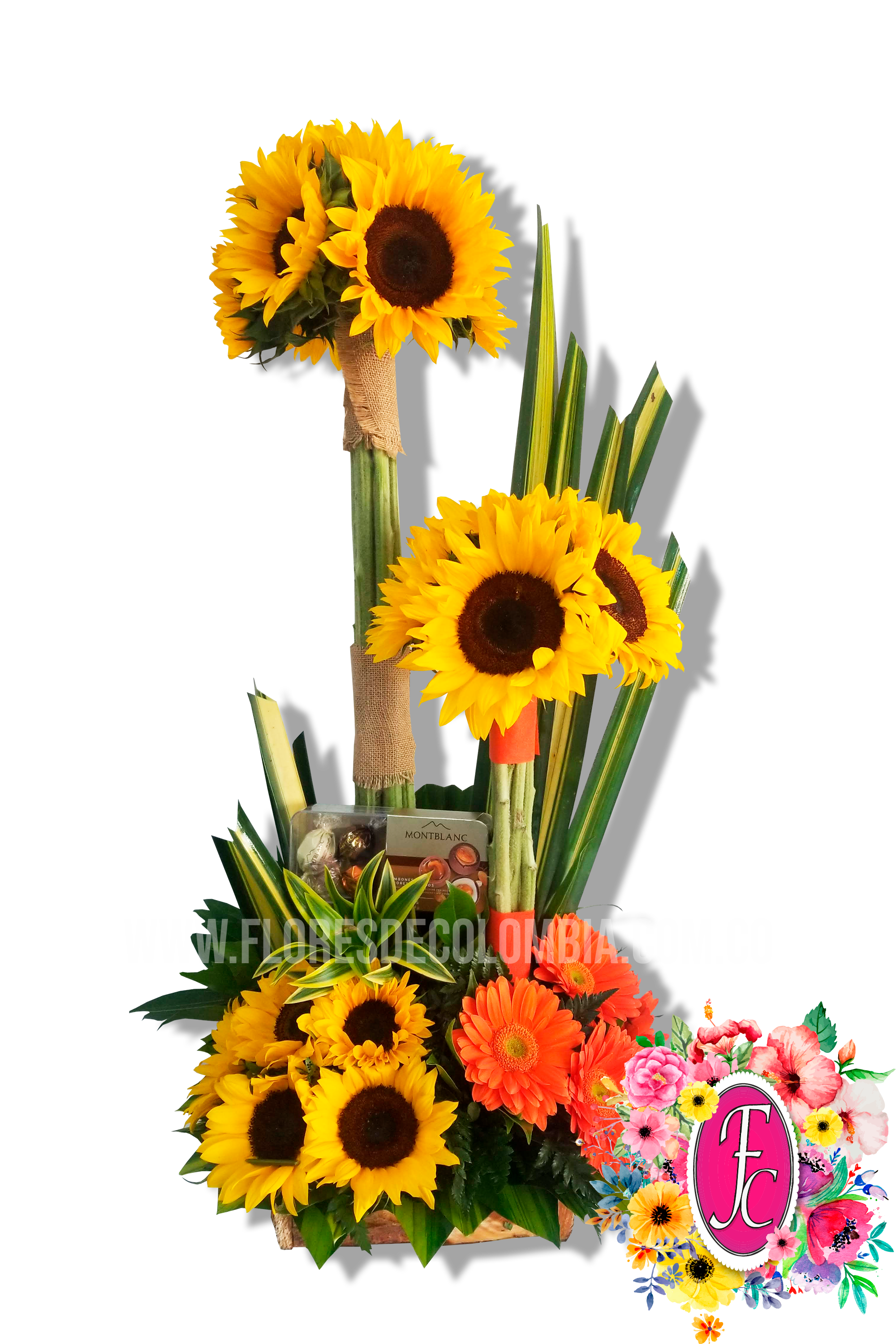 Doble topiario de girasoles - Flores de Colombia