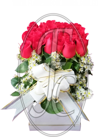 Caja regalo de 24 rosas │ Flores de Colombia