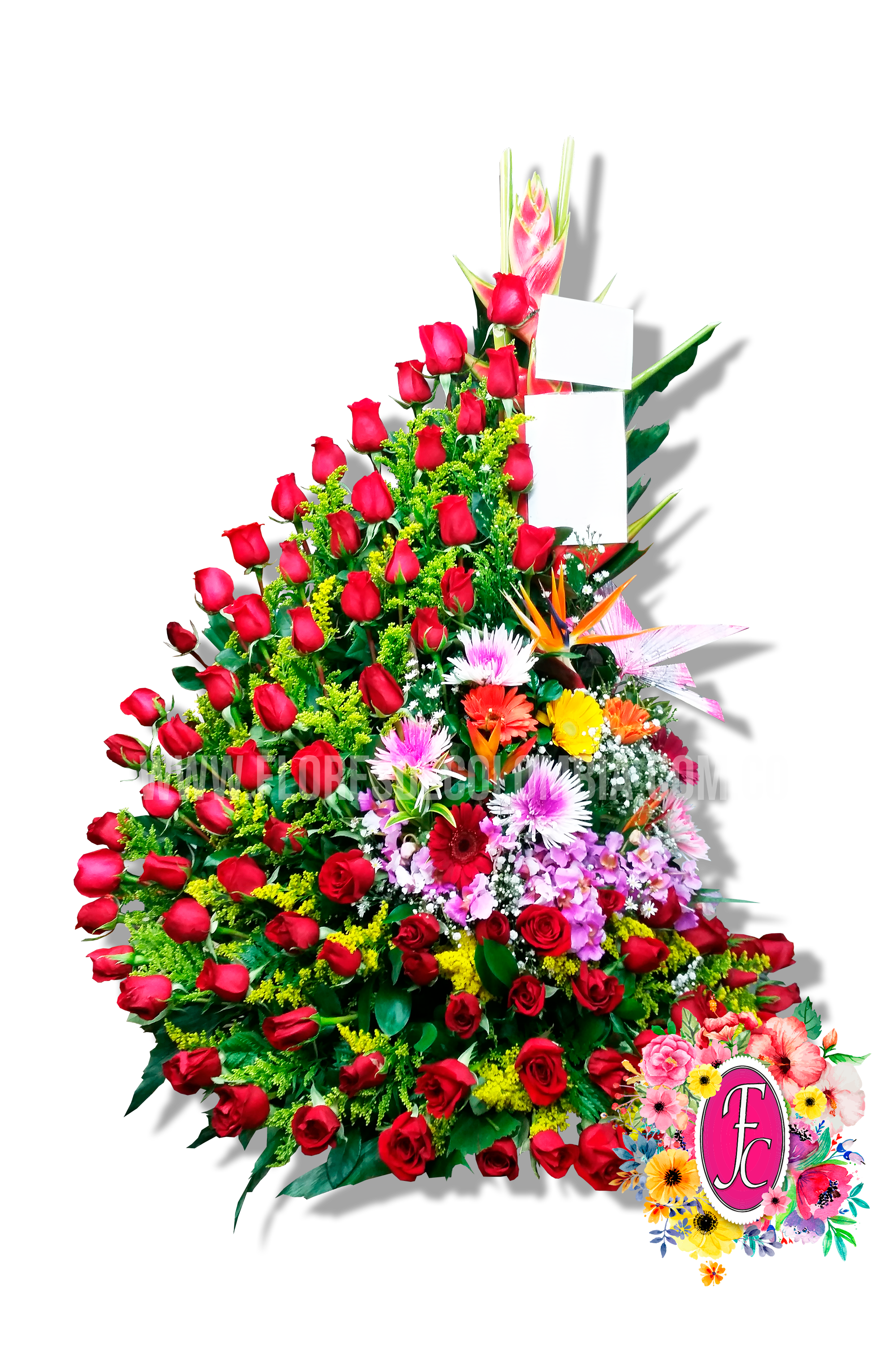 Serenata roja con 80 rosas - Flores de Colombia