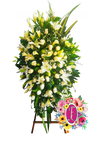 Descanso eterno │ Flores de Colombia