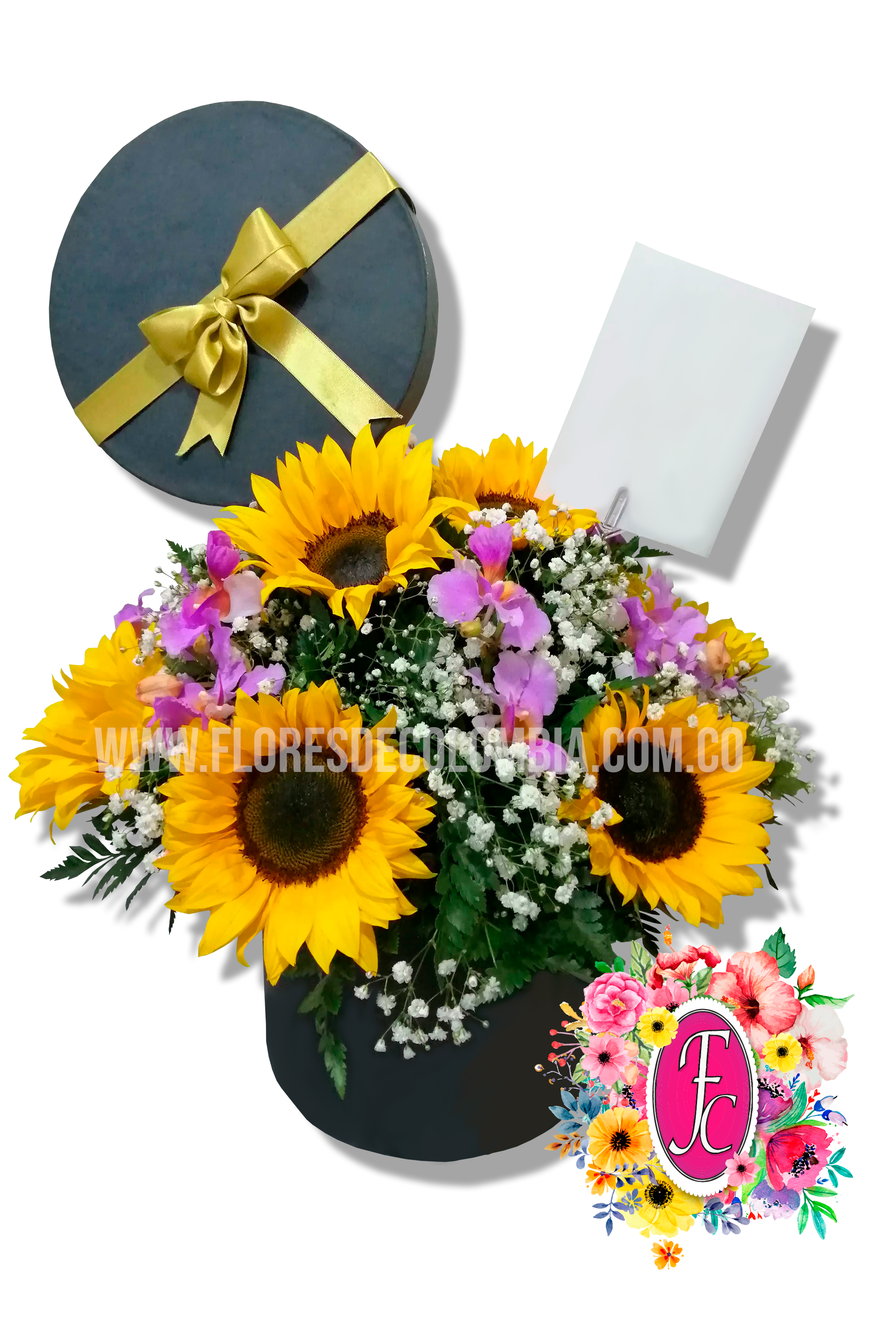 Caja regalo con girasoles y orquideas - Flores de Colombia
