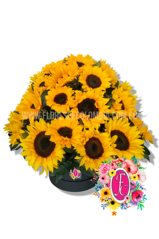 Caja regalo de girasoles - Flores de Colombia