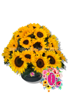 Caja regalo de girasoles - Flores de Colombia