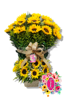 Cantillana de girasoles - Flores de Colombia