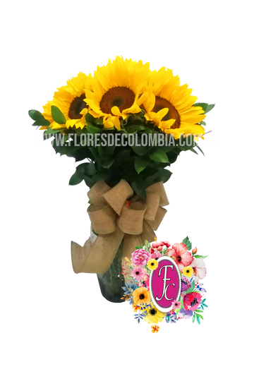 Florero de girasoles │ Flores de Colombia