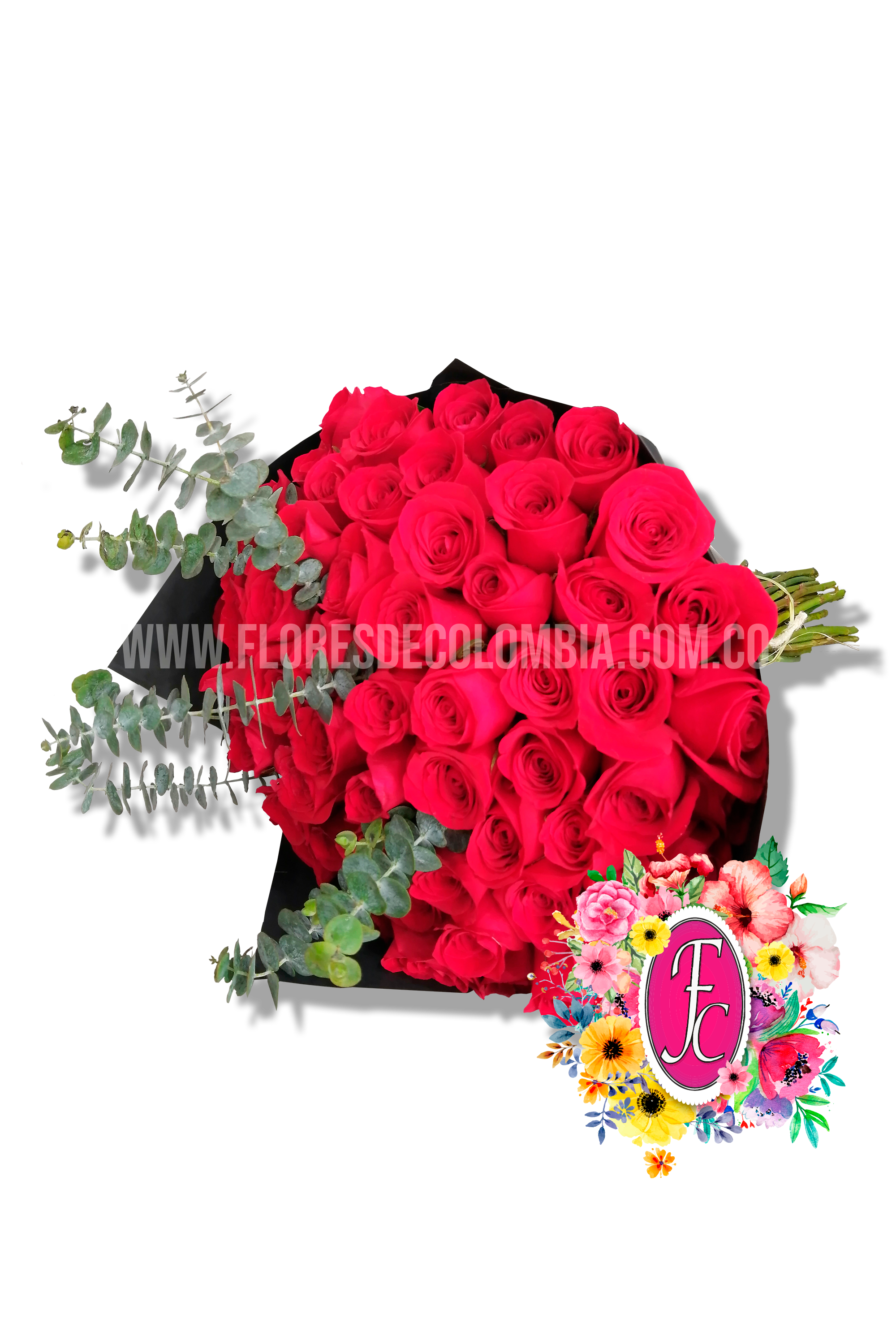 Ramillete 60 rosas - Flores de Colombia