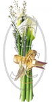 Ramillete de 6 cartuchos │ Flores de Colombia