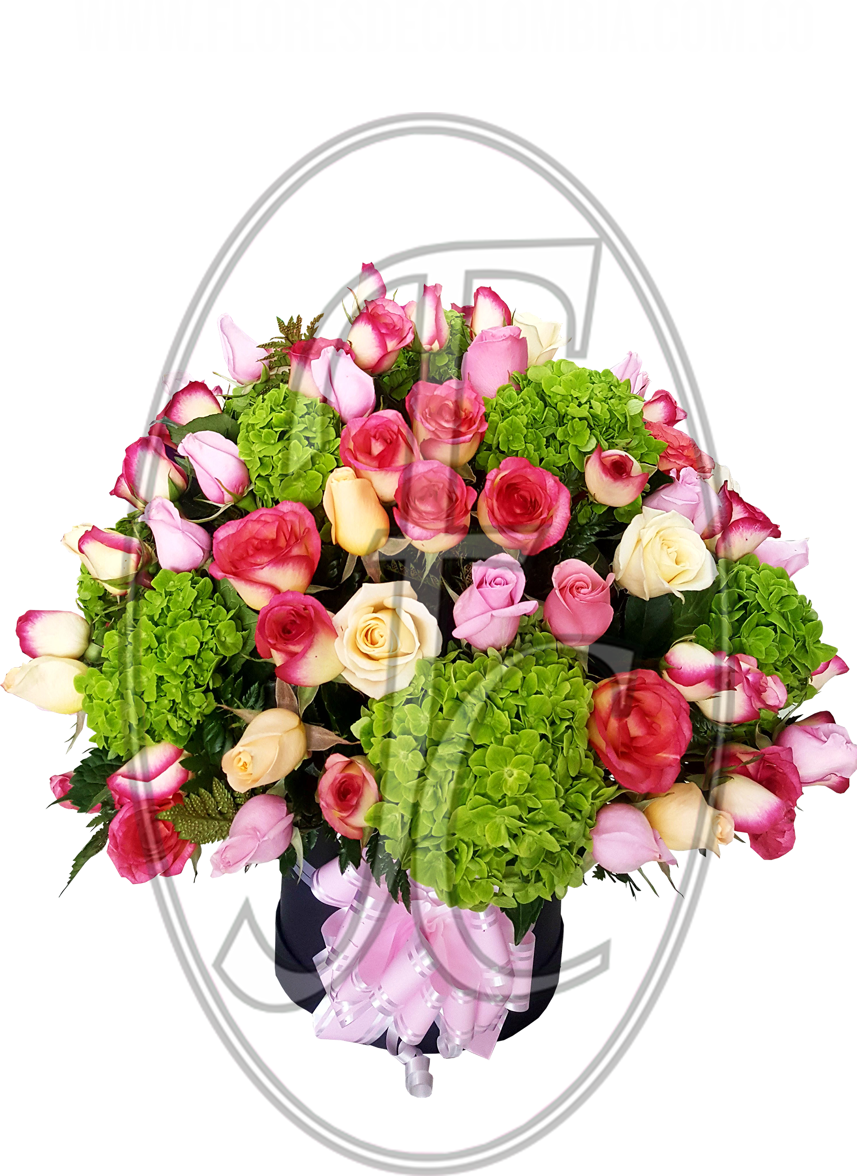 Caja regalo con rosas surtidas │ Flores de Colombia