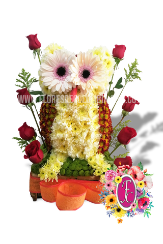 Lechuza Floral │ Flores de Colombia