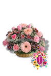Pink in bloom │ Flores de Colombia