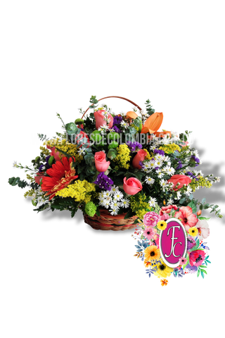 Canasta mini │ Flores de Colombia