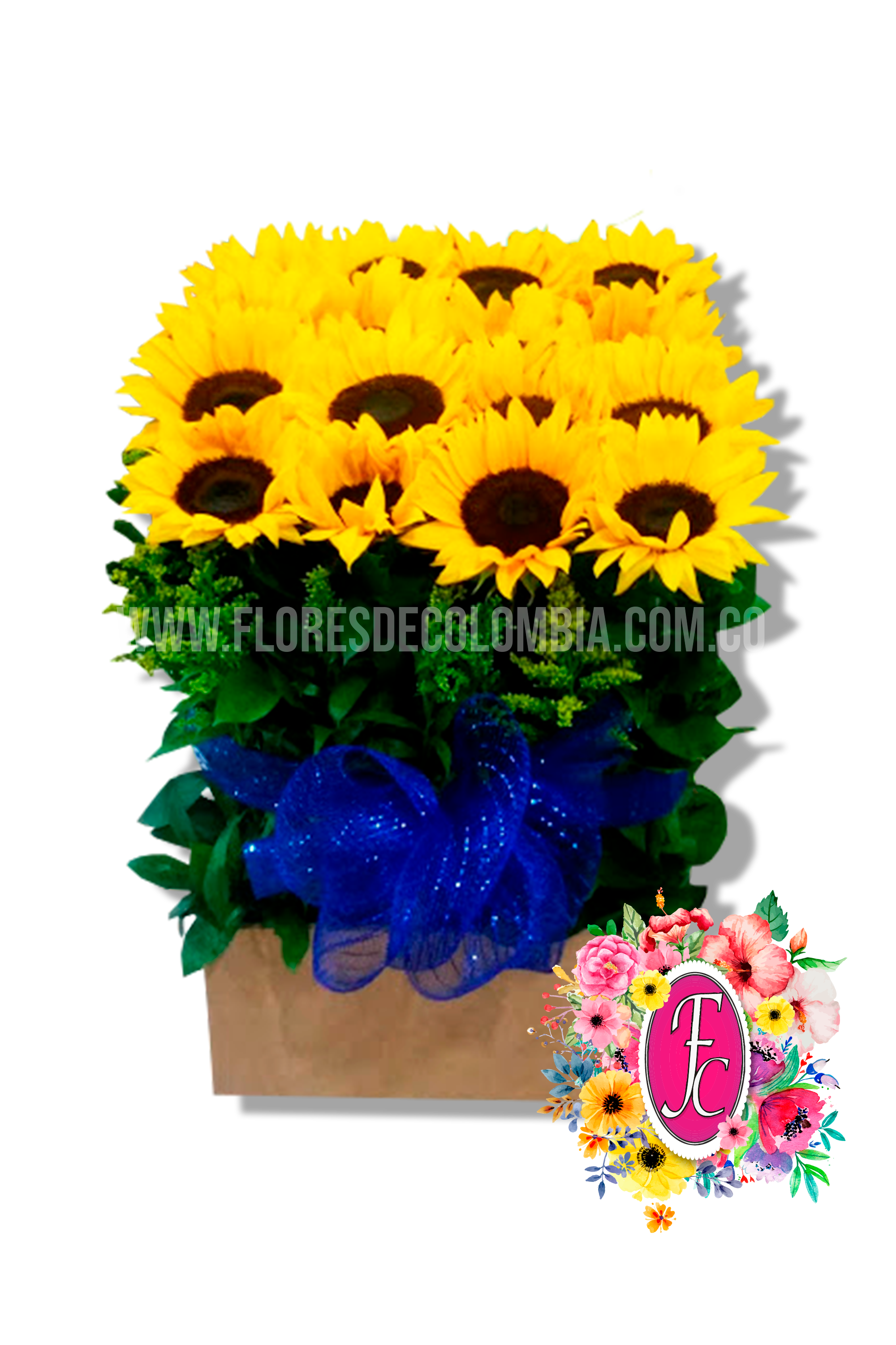 Cantillana de girasoles mediana - Flores de Colombia