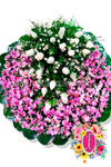 Orquideas y rosas - Flores de Colombia