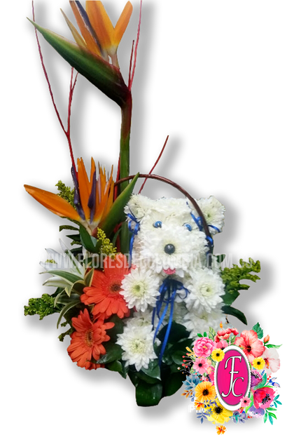 "Toby" Peluche floral en canasta - Flores de Colombia