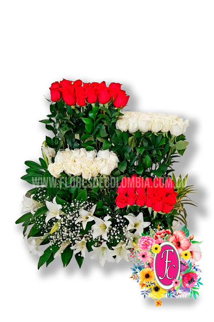 "Tarapacá" Rosas rojas y blancas - Flores de Colombia