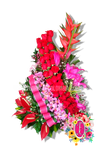 rioblanco rosas lirios y orquideas - Flores de Colombia