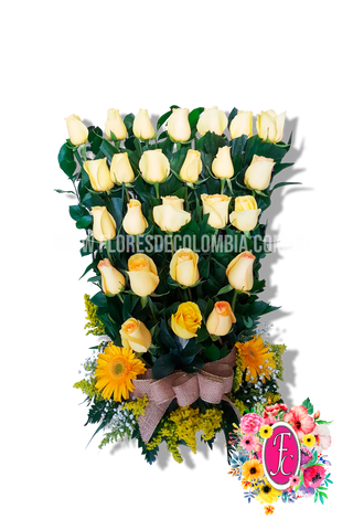 risaralda rosas amarillas - Flores de Colombia