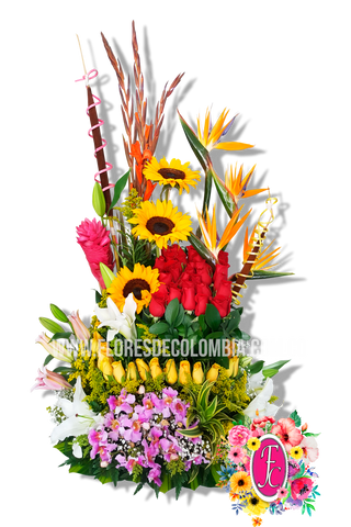 "Garagoa" Diseño exotico - Flores de Colombia