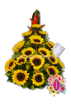 Tradicional con 16 girasoles - Flores de Colombia