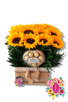 Caja regalos de girasoles + chocolates - Flores de Colombia