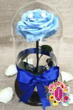 Rosa preservada azul │ Flores de Colombia