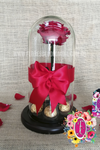 Rosa Preservada Roja │ Flores de Colombia
