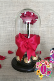Rosa Preservada Roja │ Flores de Colombia