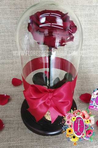 Rosa Preservada Roja │ Flores de Colombia