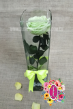 Rosa preservada verde │ Flores de Colombia